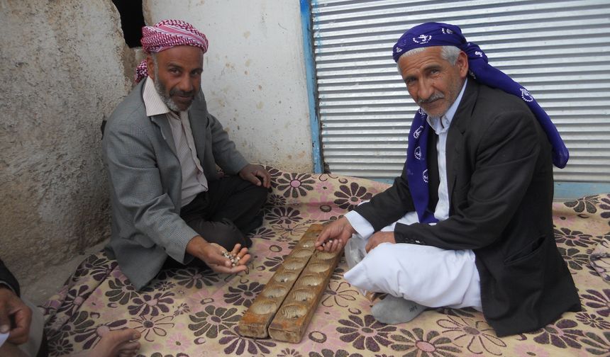 Şanlıurfa'nın 12 Bin Yıllık Tarihine Işık Tutan Oyun! Birinciye 5 bin lira