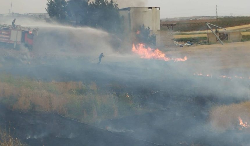 Bozova'da Ekin Yangını! Rüzgar Alevleri Taşıdı