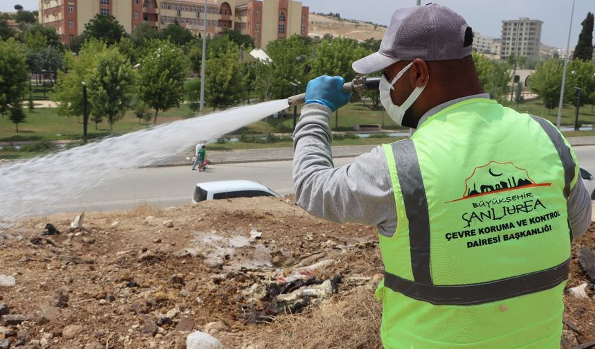 Büyükşehir Belediyesi’nden İlaçlama Seferberliği