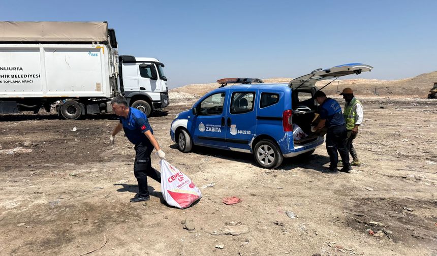 Haliliye’de Koku Veren Gerçek Ortaya Çıktı: Bozuk Etler İmha Edildi