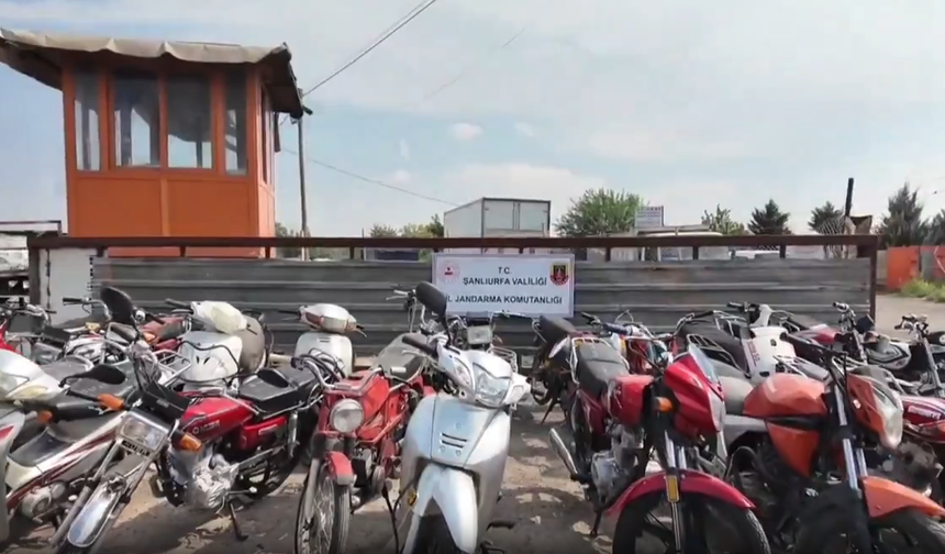 Eyyübiye’de Dev Operasyon: Çok Sayıda Motosiklet Ele Geçirildi!