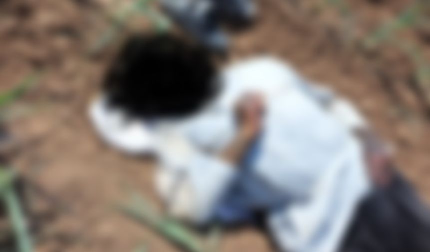 Akçakale’de Mısır Tarlasında Erkek Cesedi Bulundu