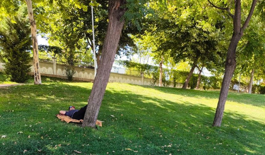 Şanlıurfa'da sıcaktan bunalanlar gölgelik alanlarda serinliyor