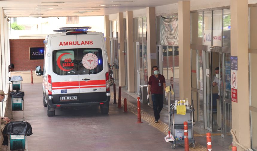 Şanlıurfa'da cinayet bir gözaltı