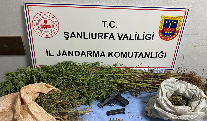 Şanlıurfa Jandarmasından Uyuşturucuya Geçit Yok: 6 İlçede Operasyon, 8 Gözaltı