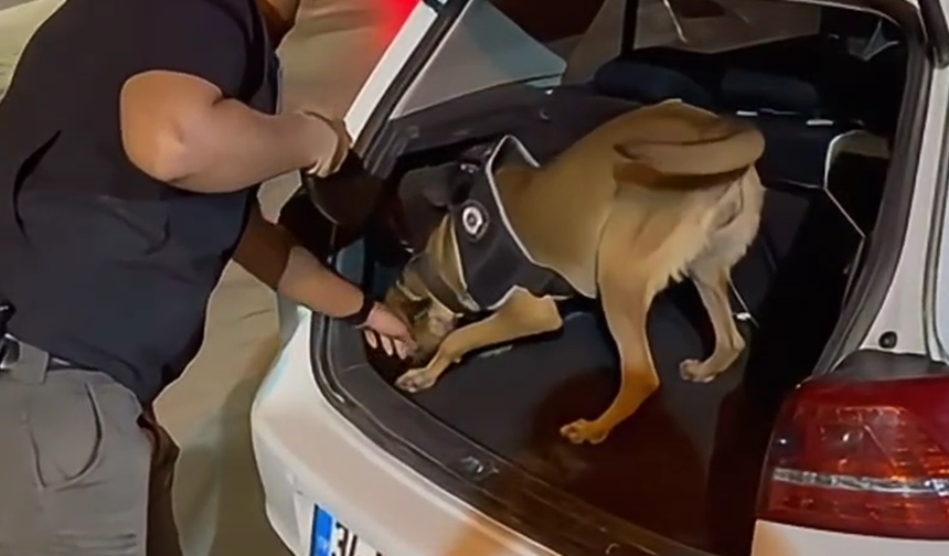 Şanlıurfa’da Skunk Baskını: 3.45 Kilo Ele Geçirildi, Sürücü Tutuklandı!