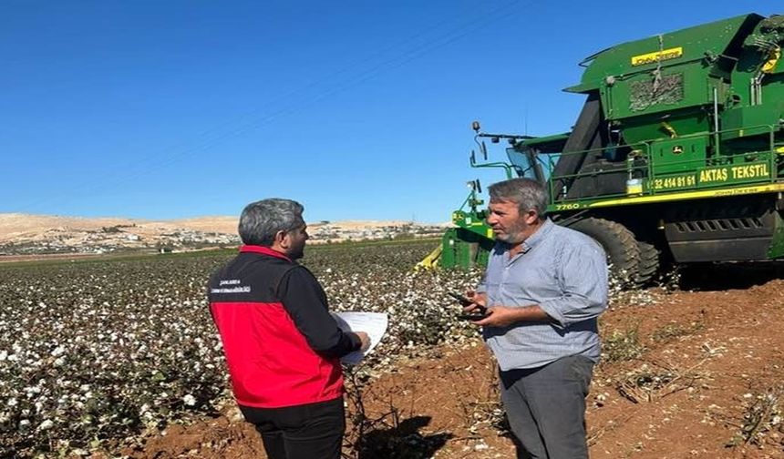 Eyyübiye’de Pamuk Hasadı Sürüyor: Tarım Müdürlüğü Denetimde!