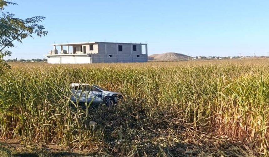 Akçakale’de Otomobil Mısır Tarlasın Uçtu