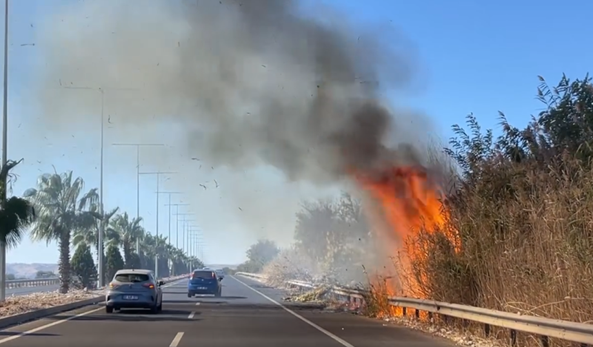 Alevler Metrelerce Yükseldi: Şanlıurfa-Mardin Karayolunda Sürücüler Panik İçinde!