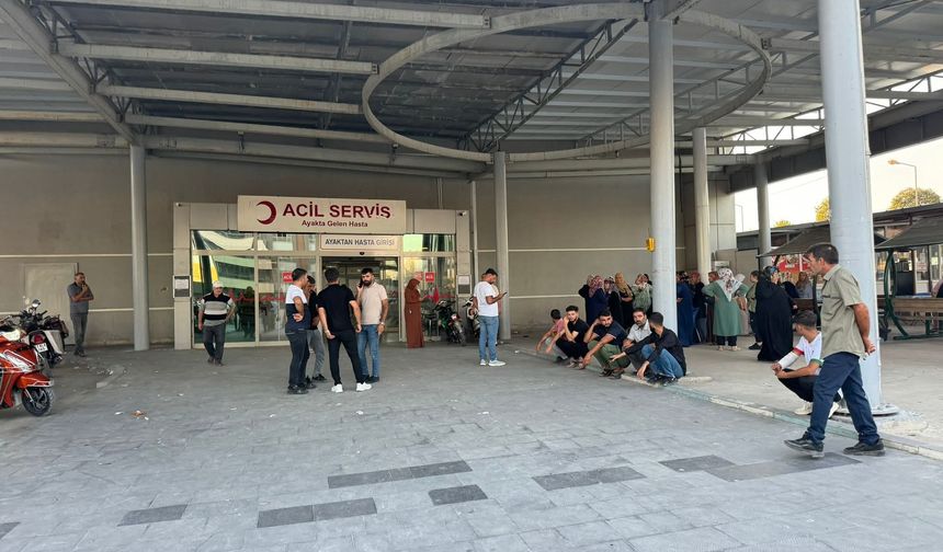 Birecik’te Köpekler Belediye İşçisine Saldırdı