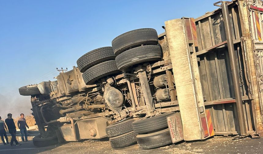 Akçakale Yolu'nda Pamuk Çekirdeği Yüklü Kamyon Devrildi