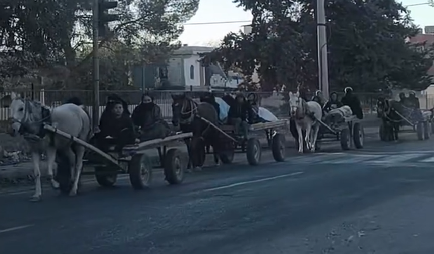 Şanlıurfa’nın Kırsalında At Arabaları: Geçmişin İzleri, Bugünün Ekonomik Aracı