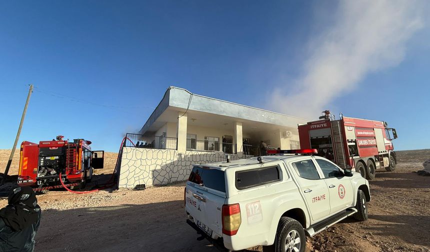 Şanlıurfa'da korkutan yangın