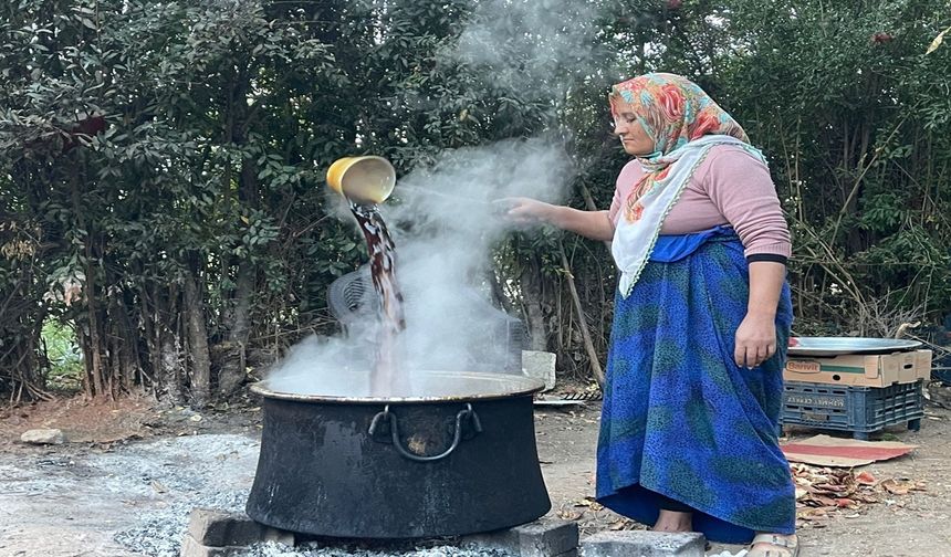 Suruç Narının Efsane Lezzeti: Nar Pekmezi Kış Sofralarına Damgasını Vuruyor!