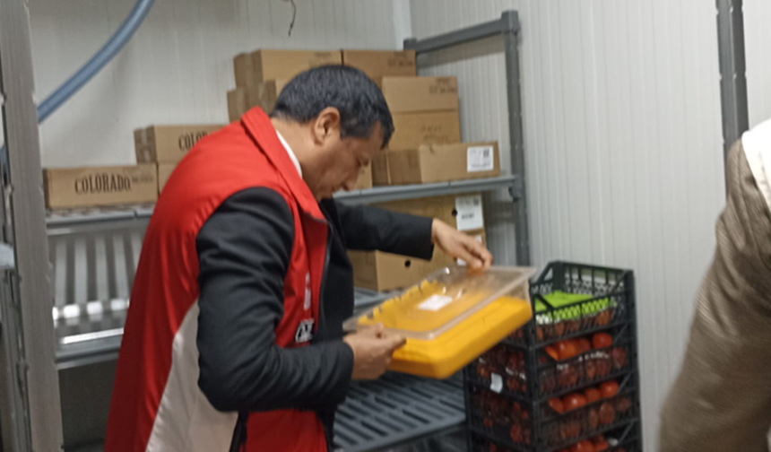 Eyyübiye’de Şok Denetim: 20 Ton Bozulmuş Kola Satıştan Çekildi!