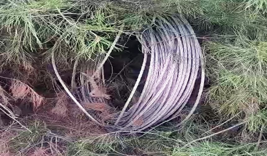 Eyyübiye'de Direk Hırsızları Bölgeyi Elektriksiz Bıraktı