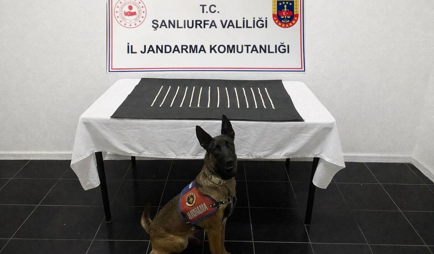 Harran’da Narkotik Operasyonu: 664 Captagon Ele Geçirildi