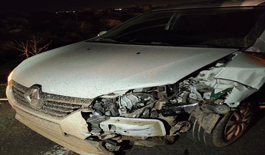 Viranşehir’de Yaban Domuzu Kazası: Otomobil Çarptı, Domuz Telef Oldu