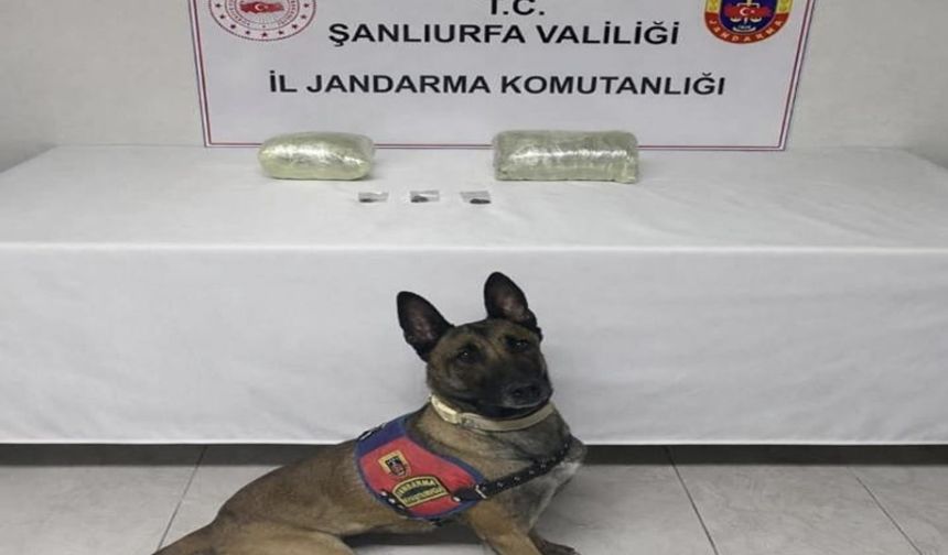 Siverek’te Jandarmadan Uyuşturucuya Sert Darbe