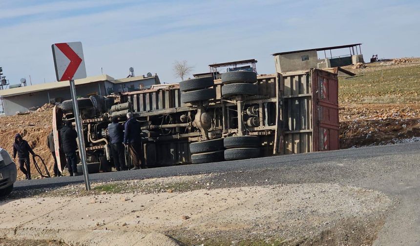 Harran’da Pamuk Yüklü Kamyon Şarampole Devrildi