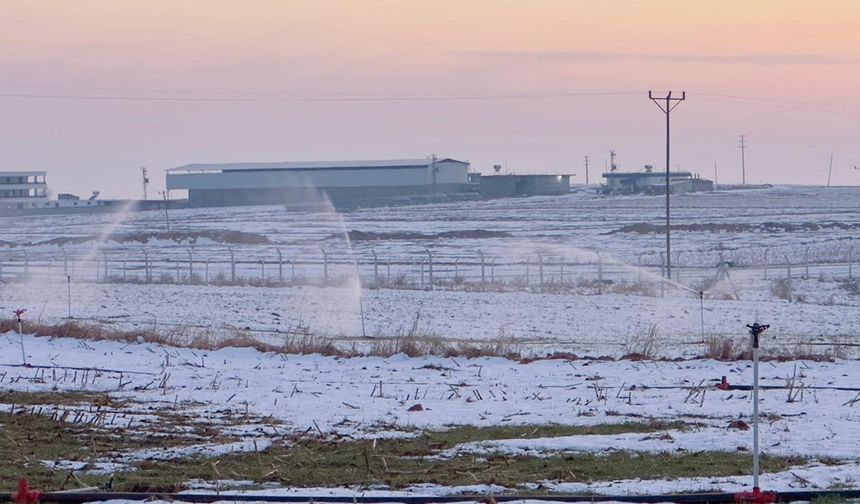 Şanlıurfa Tarım Arazilerinde Kaçak Elektrik Skandalı!