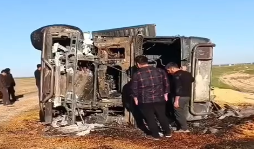 Ceylanpınar’da Mısır Yüklü Tır Devrildi, Alev Topuna Döndü