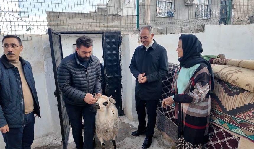 Eyyübiye’de Yüzlerce Aile Devletin Büyüklüğünü Hissetti