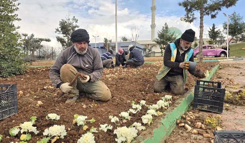 Eyyübiye Yeşil Alanları Bahara Hazırlanıyor