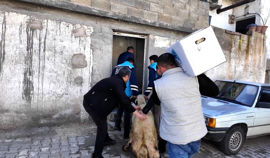 Başkan Kuş’tan Yetim Ailelerine: Her zaman yanınızda olacağız