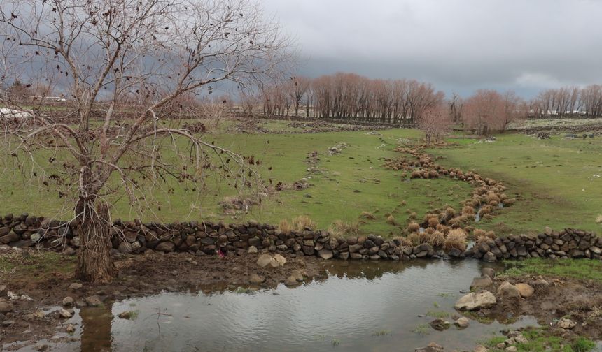 Kuraklık Yerini Berekete Bıraktı: Karahisar Çayı Yıllar Sonra Yeniden Akıyor