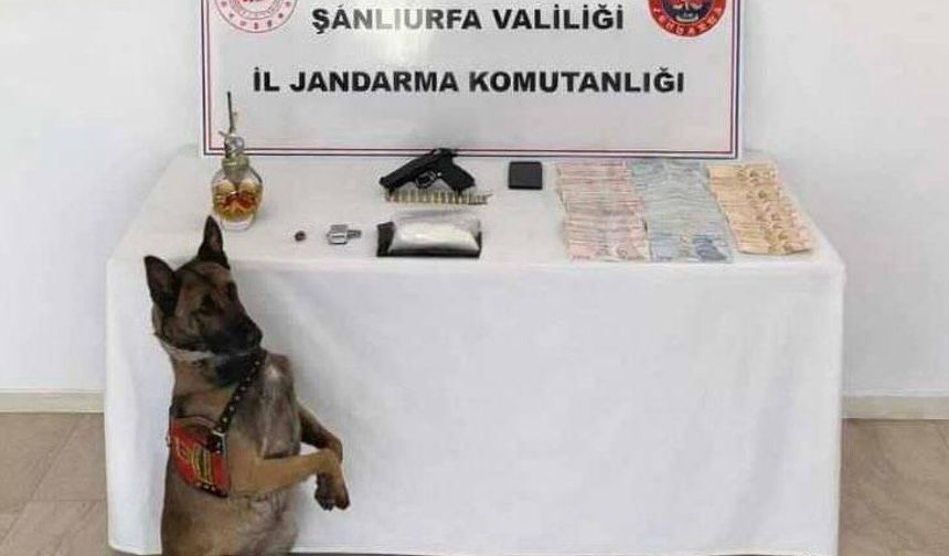 Şanlıurfa’da Narkotik Operasyonu: Uyuşturucu, Silah ve 31 Bin TL Ele Geçirildi