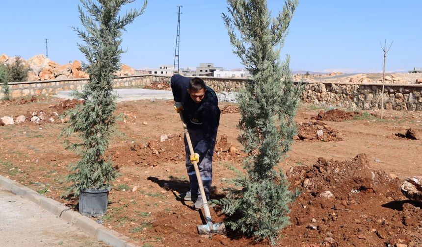 Yukarıgöklü Kent Parkı Yeşile Bürünüyor