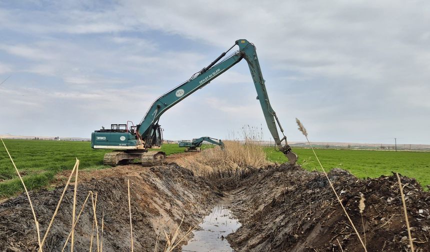 Harran Ovası’nda sulama öncesi kritik temizlik