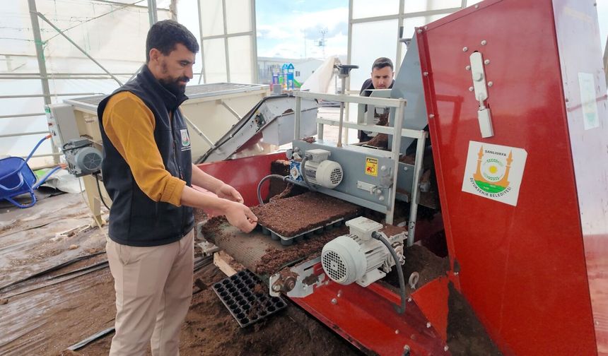 Şanlıurfa Büyükşehir Belediyesi 1 Milyon Fide Üretiyor