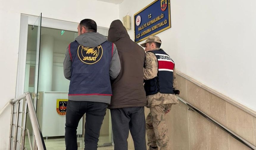 Şanlıurfa’da Aranan Hırsızlık Zanlısı Jandarma Ekiplerince Yakalandı