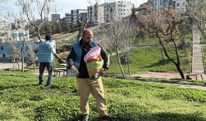 Yemyeşil Eyyübiye İçin Hazırlık