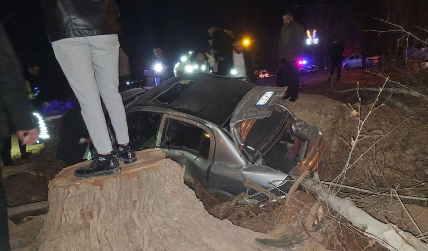 Akçakale'de otomobil şarampole devrildi, 2 yaralı