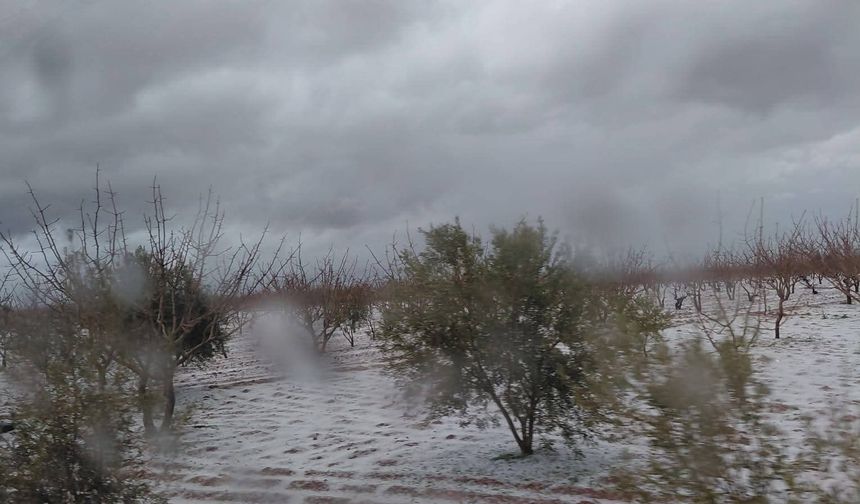 Dolu Yağışı, Şanlıurfa'nın 3 İlçesinde Hayatı Olumsuz Etkiledi