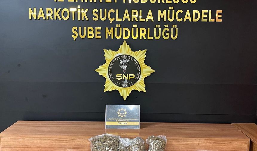 Şanlıurfa'da 2,7 kilo skunk maddesi ele geçirildi
