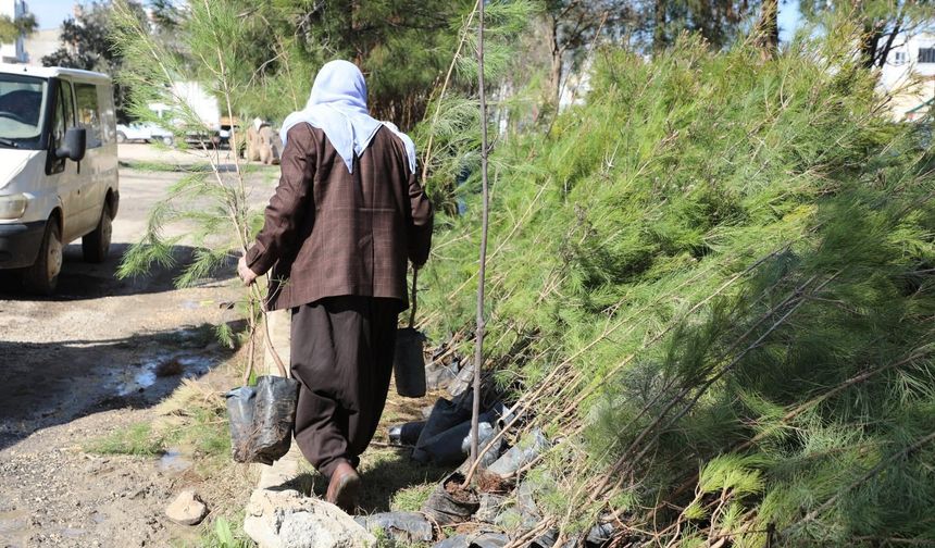 Başkan İnan, Daha yeşil Viranşehir için calisiyoruzy