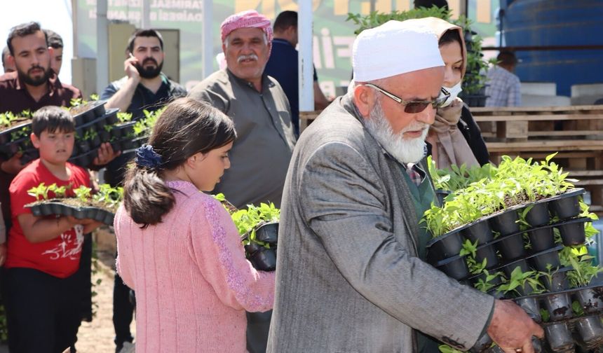 Büyükşehir, 1 Milyon Fide Dağıtarak Üreticiyi Destekledi