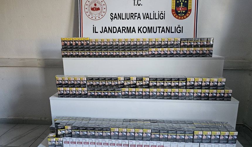 Şanlıurfa’da Kaçakçılara Büyük Darbe: Binlerce Paket Ele Geçirildi