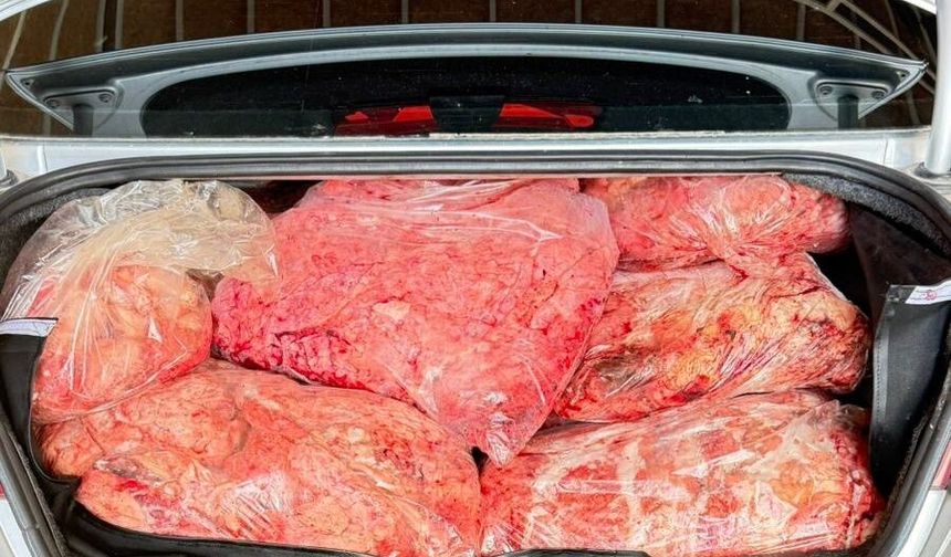 Şanlıurfa’da 2 Ton Kaçak Et Ele Geçirildi!