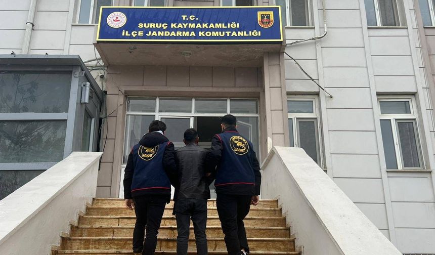 Suruç’ta Operasyon: Aranan Şahıs Kıskıvrak Yakalandı