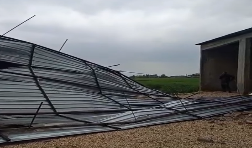 Harran’da Fırtına Dehşeti: Çatılar Uçtu, Ağaçlar Yıkıldı