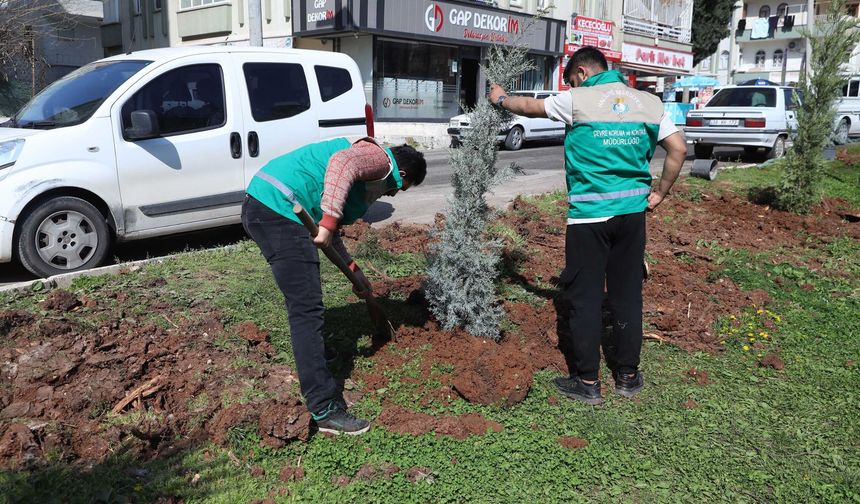 Haliliye’de Yaz Öncesi Parklarda Hummalı Çalışma