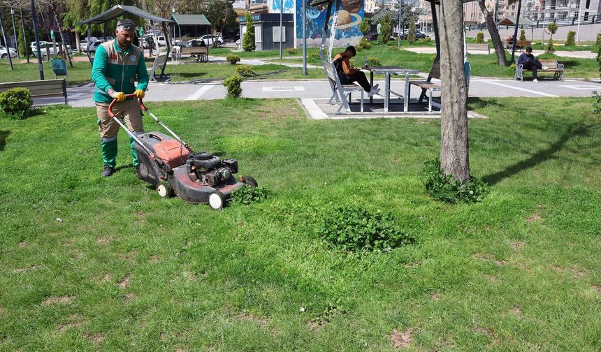 Haliliye Belediyesi’nden Park Ve Yeşil Alanlarda Bakım Seferberliği