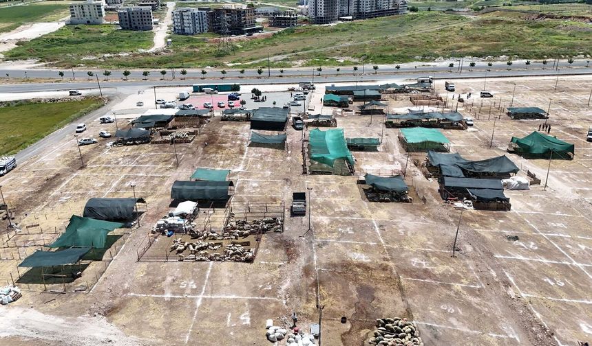 Haliliye’de Kurban Satış Ve Kesim Yerleri Belirlendi