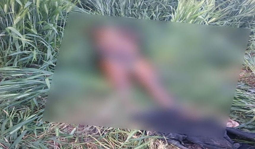 Akçakale’de Dehşet Veren Olay: Kayıp Şahsın Cesedi Bulundu