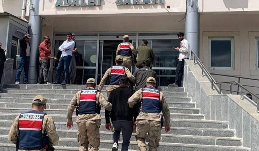 Şanlıurfa’da Jandarmadan Şafak Operasyonu: 3 Firari Yakalandı